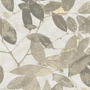 NEW Herbarium Beech Tree Leaves Botanical Textured Wallpaper (2 rolls)